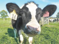 /album/consultores-agropecuarios/a8767caeede1fae70872039ea1a8a9fe6-int470-jpg/