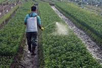/album/consultores-agropecuarios/r623465-6577893-jpg/